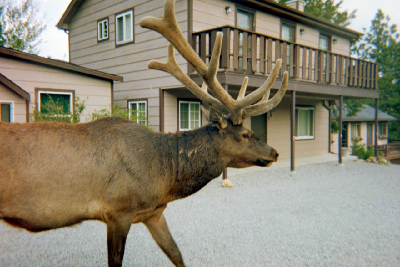 Skyline Cottages Estes Park Exterior photo